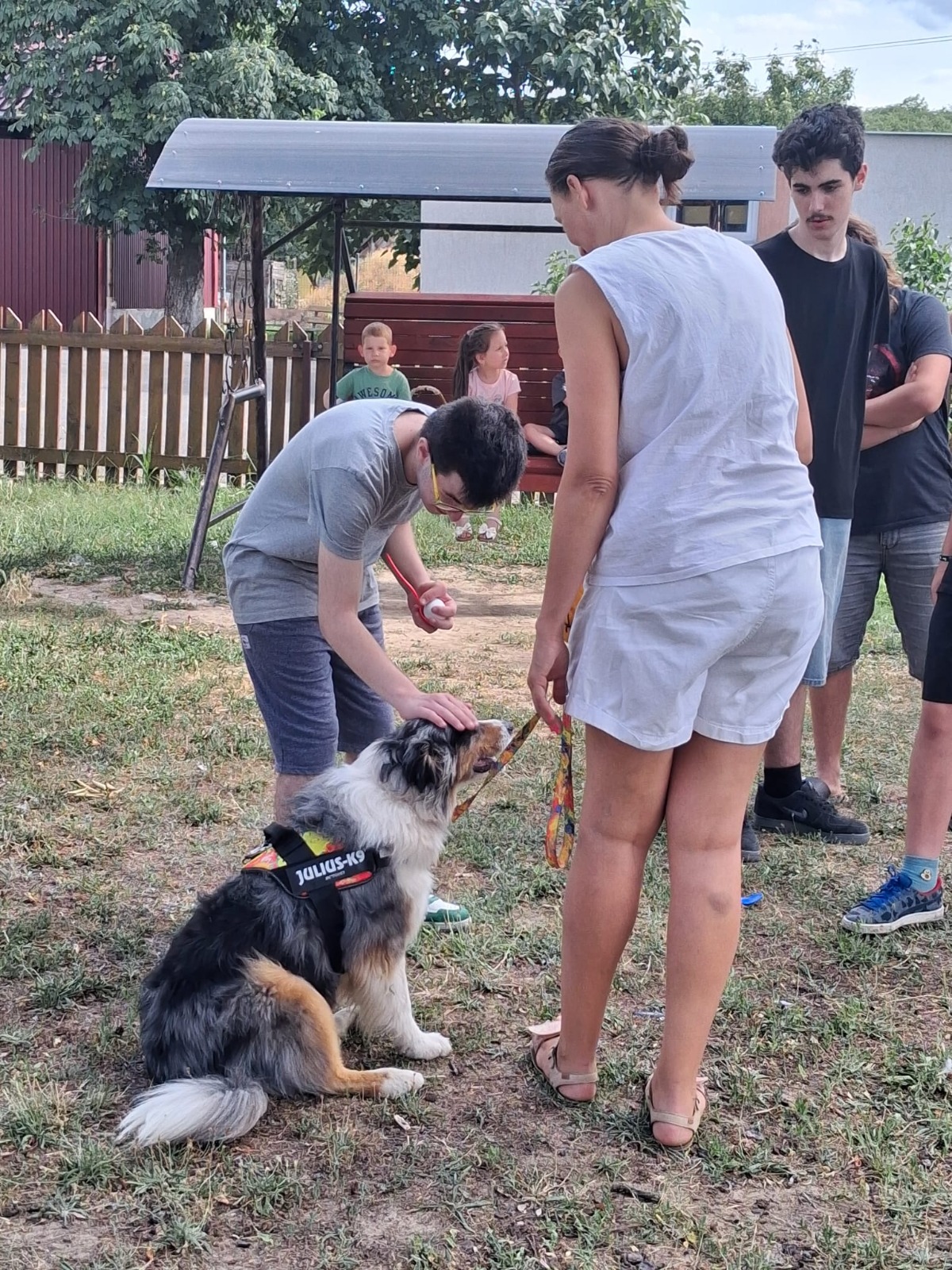 Moment din activitățile Dog4You